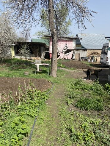село гроздь бишкек: Айыл чарба үчүн