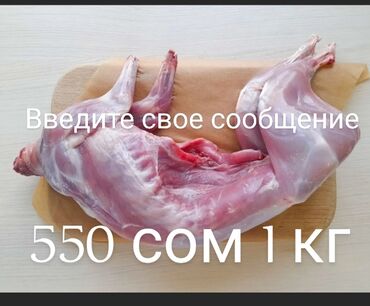 стол с регулируемой высотой бишкек: Вкусное полезное диетическое мясо кролика