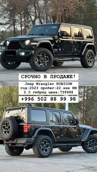 Jeep: Jeep Wrangler: 2023 г., 2 л, Автомат, Бензин, Внедорожник