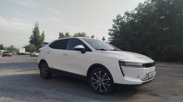 колпак запаски: BYD : 2019 г., 0.1 - engine capacity л, Автоматтык, Электромобиль, Седан