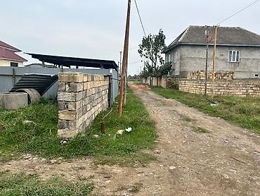 bine evler: Həyət evi satılır. Girdəni yolundaki dəmirağac marketin arxa — 6