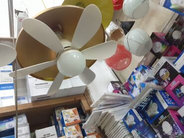 sabunçu bit bazarı: İşıqlı ventliyator satılır 40azn Ünvan:8ci km bazar. Əlaqə