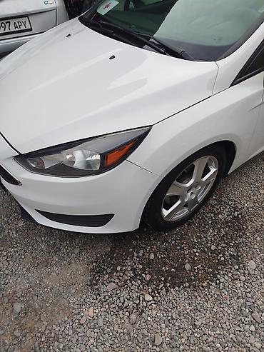 Ford: Ford Focus: 2017 г., 2 л, Бензин, Седан — 17