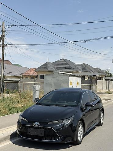 levin corolla: Toyota Levin: 2020 г., 1.8 л, Гибрид, Седан — 1