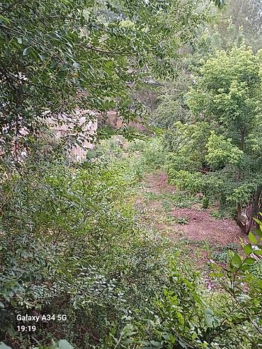 Полки для вещей и одежды: Полка для вещей и одежды, Дерево — 10