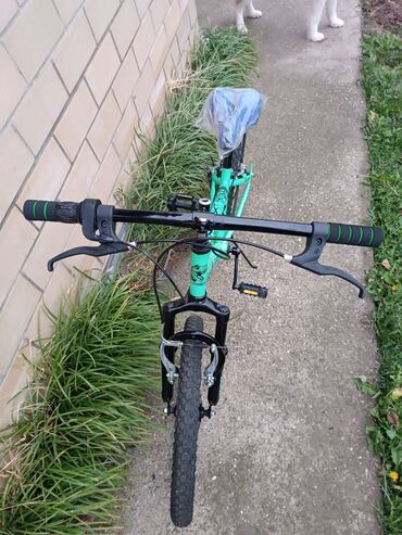 Dečiji bicikli: Decij bicikl Explorer T-Rex 20 sa amortizerom i brzinama zelena Tekst — 5