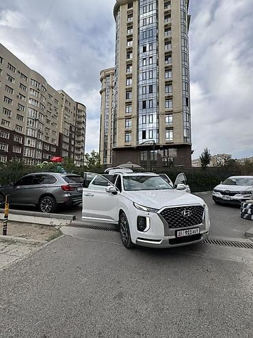 задаю: Hyundai Palisade: 2020 г., 3.8 л, Автомат, Бензин, Кроссовер — 1