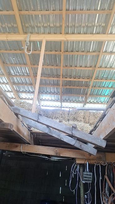 Продажа сельхоз предприятий: Сарай/коровник для КРС - Размер: 13,6 м (длина). - Вместимость — 5