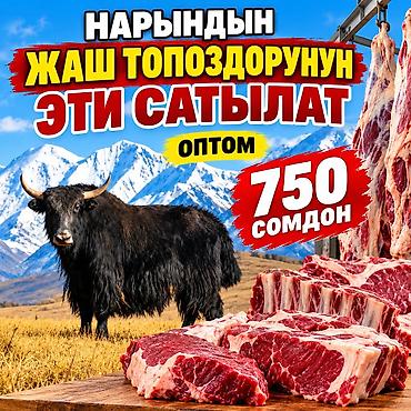 пила для резки мясо: Нарындын жаш топоздорунун эти сатылат оптом 750 сомдон — 1