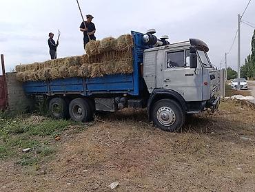 авто грузовые: КАМАЗ 5511 самосвал, 6x4 сатылат 350 мин сурап атам мотор жасаш керек — 1