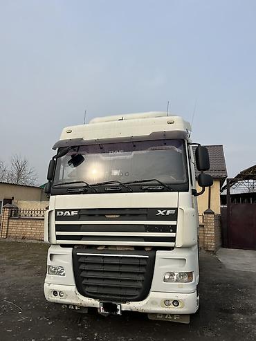 Тягачи: Тягач, DAF, 2008 г., Без прицепа — 2