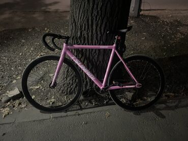 пит байк мотоцикл: Шоссе велосипеди, Tsunami