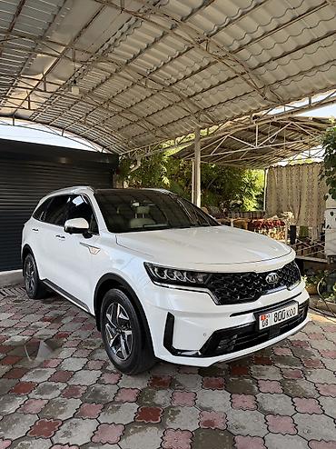 продаю туманки: Kia Sorento: 2020 г., 1.6 л, Автомат, Гибрид, Кроссовер — 1