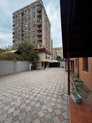 дворец: 1300 м², 6 комнат и более, Филармония — 5
