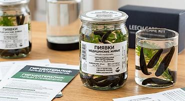 Мед. товарлар: Пиявки медицинские живые (Hirudo medicinalis) оптом по 140 — 1