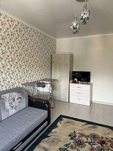 аренда квартир иссык куль: 35 м², С мебелью полностью — 1