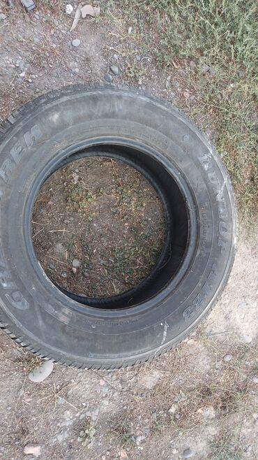 прицеп шины: Шины 285 / R 18, Всесезонная, Б/у, 1 шт, Dunlop