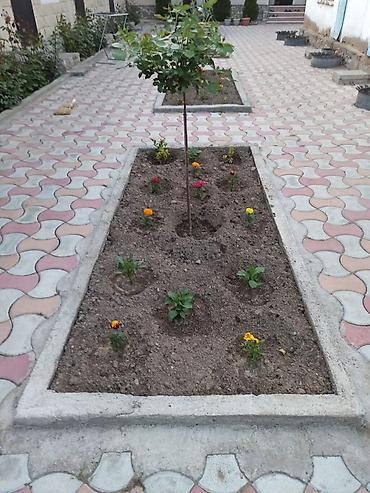 Ысык-Көлдө конок үйү, ЖАННАТ, Голубой Иссык-Куль, Чолпон-Ата, 10+ орун, Жайкы сезон үчүн lalafo.kg да — 5 Ысык-Көлдө конок үйү, ЖАННАТ, Голубой Иссык-Куль, Чолпон-Ата, 10+ орун, Жайкы сезон үчүн — 5