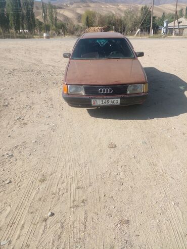 ауди кватра: Audi 100: 1986 г., 1.8 л, Механика, Бензин