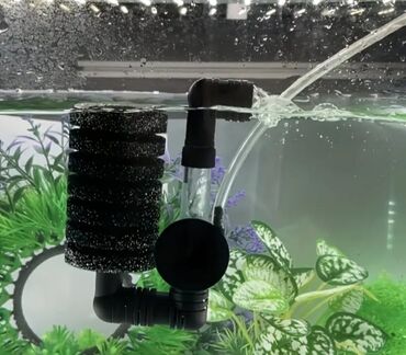 Akvarium aksessuar və ləvazimatları: Akvarium filtri akvariumda suyun təmizliyini və keyfiyyətini təmin