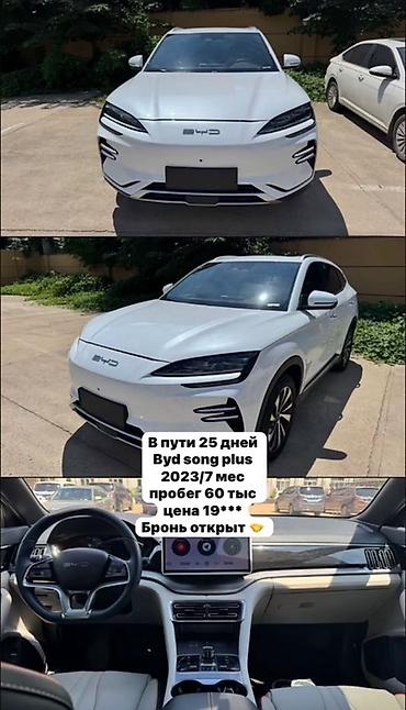 sonata d8: BYD Song Plus: 2023 г., Гибрид, Кроссовер — 1