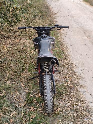 irbis ttr: Питбайк Stels, 125 куб. см, Бензин, Взрослый, Б/у — 3