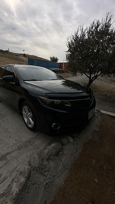 стеклопод: Toyota Camry: 2014 г., Седан — 6