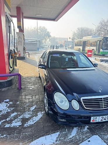 Mercedes-Benz: Mercedes-Benz E-Class: 2003 г., 3.2 л, Автомат, Дизель, Седан — 5