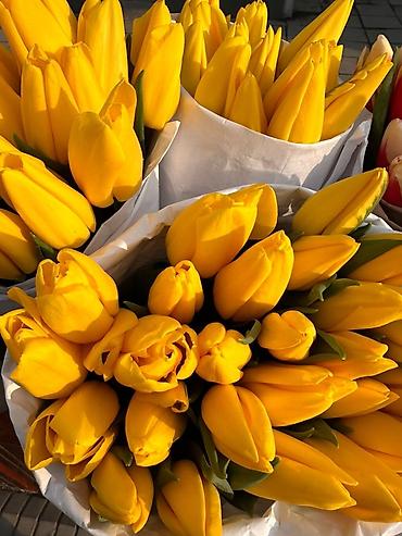 Букеты из живых цветов: Тюльпаны срезанные — букетные сборки. - Варианты окраски: насыщенный — 17