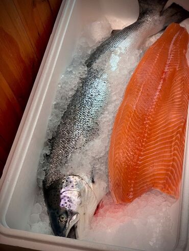 Рыба и морепродукты: Свежий, 2 кг, 3 кг, Самовывоз