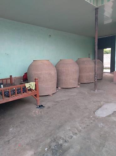 Очок: Тандыры Доставка Больше 6 лет опыта — 15