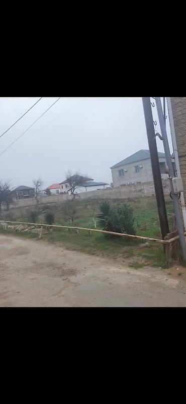 bagi: 6 sot, Tikinti, Mülkiyyətçi, Kupça (Çıxarış) — 2