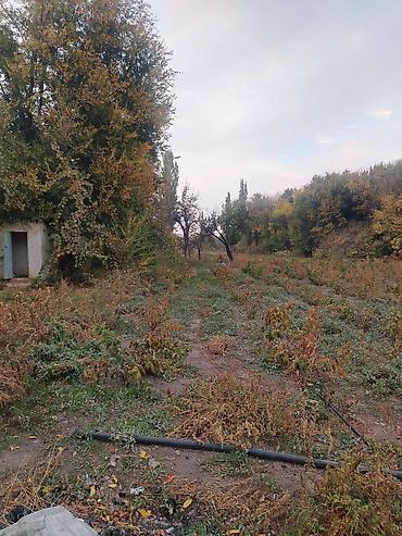 продаю дом киргизия 1: 6 комнат, 120 м², 25 соток, Петровка, Собственник — 5
