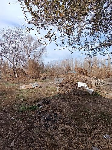 Продажа коттеджей и домов: 📌В селе Садовое недалеко от трассы продается дом на участке 51 сотка — 17