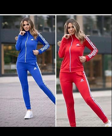 tri cetvrt helanke: Ženske trenerke S,M,L,XL,XXL,3XL veličine za samo 3500 din
pb — 4