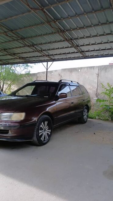тайота ариус: Toyota Carina: 1995 г., 2 л, Механика, Бензин, Вэн/Минивэн