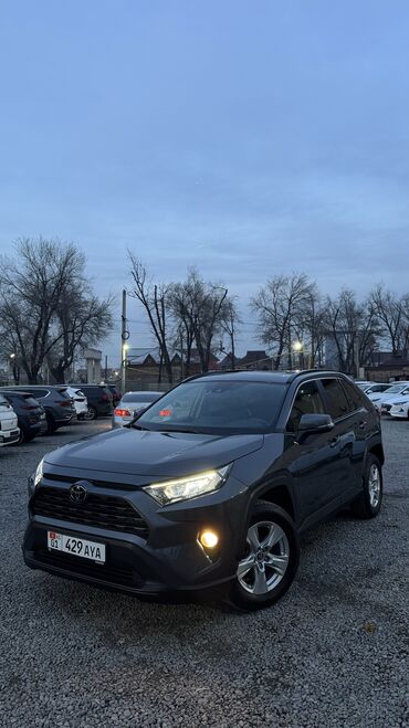 Toyota: Toyota RAV4: 2019 г., 2.5 л, Автомат, Бензин, Кроссовер — 1