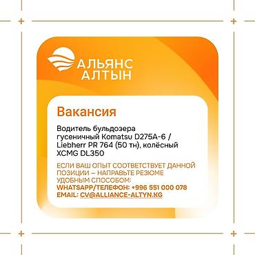 мед инструменты: Альянс Алтын открывает вакансии на месторождении «Джеруй» (Таласская — 1