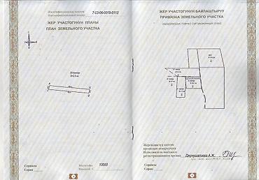 Кыймылсыз мүлк: 200 соток, Айыл чарба үчүн — 1
