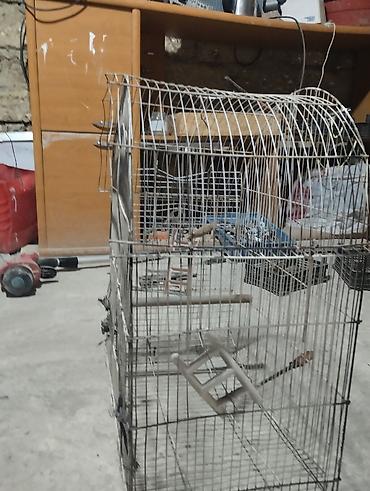 Metall quş qəfəsi dovşan tutuquşu göyərçin qəfəs - Material: möhkəm lalafo.az -da Metall quş qəfəsi dovşan tutuquşu göyərçin qəfəs - Material: möhkəm