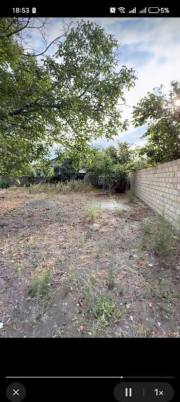 zigda həyət evləri 2026: 10 sot, Tikinti, Barter mümkündür, Kupça (Çıxarış) — 10