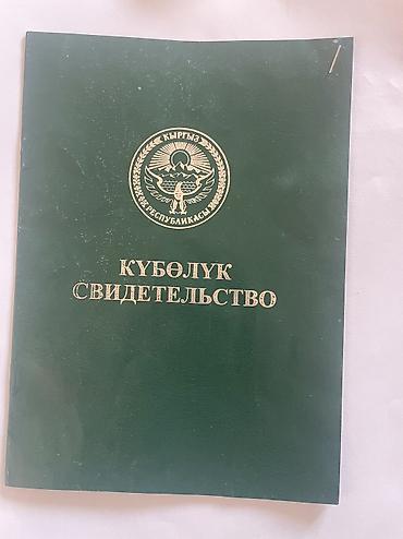 Земельные участки: 45 соток, Для сельского хозяйства — 1