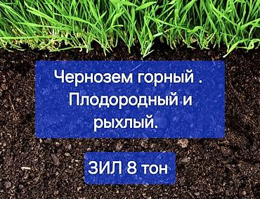 В тоннах, Зил