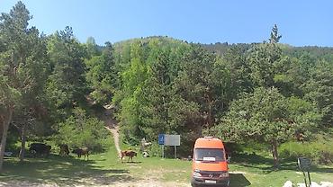 Такси: Бус на заказ трансфер — 10