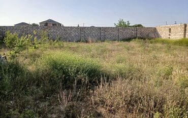 yeni əmlak az: 6 sot, Tikinti, Mülkiyyətçi, Kupça (Çıxarış)