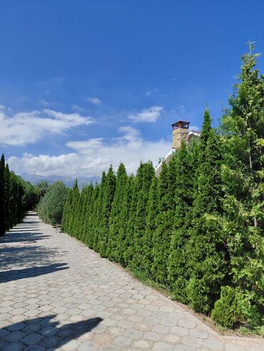 Продажа домов: Коттедж, 122 м², 5 комнат, Агентство недвижимости, Евроремонт — 12