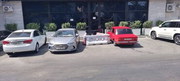 Restoran, kafelər: 120 kv retoran icarəyə verilir — 3