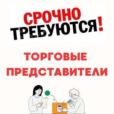склад работа: Требуется Торговый агент, График: Шестидневка, Без опыта, Официальное трудоустройство, Полный рабочий день
