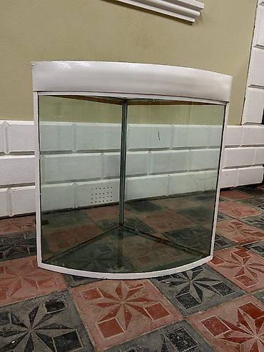 Bucaqlı (kənar) akvarium/künc vitrini - Forma: ön hissəsi qövsvari