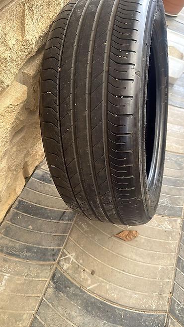 em 50: Dunlop avtomobil şini - Model: Dunlop (yan tərəfdə loqo və yazı) - — 1